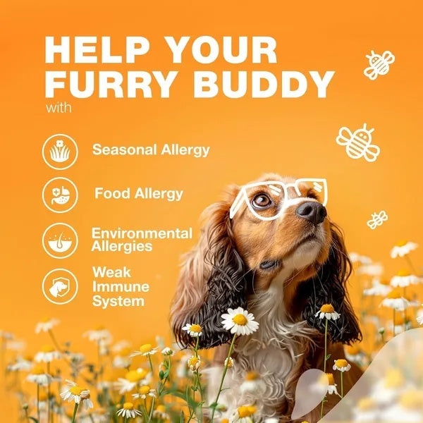 Dog supplement treats for seasonal allergy relief