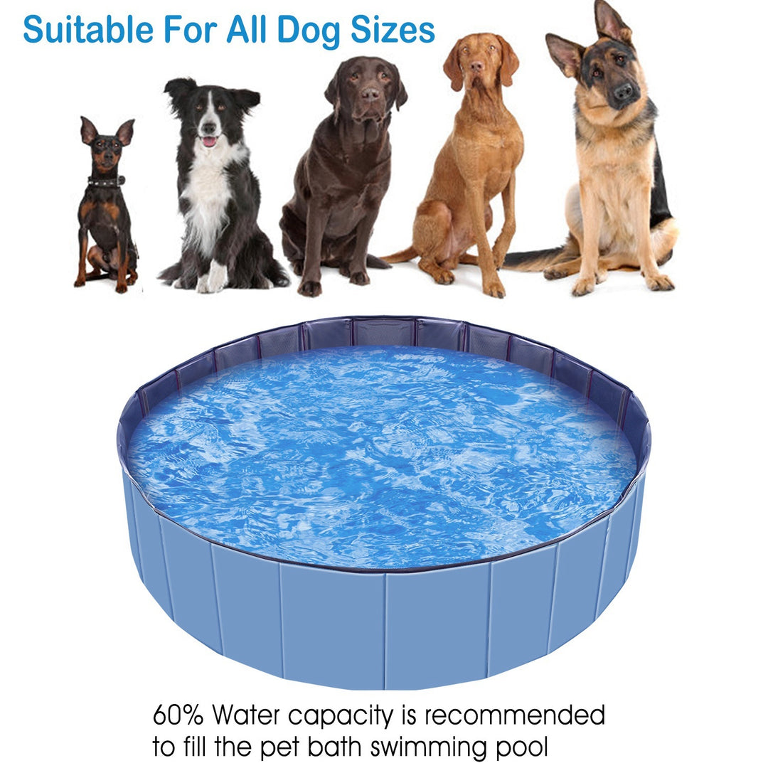 Dog swim pool for backyard fun
