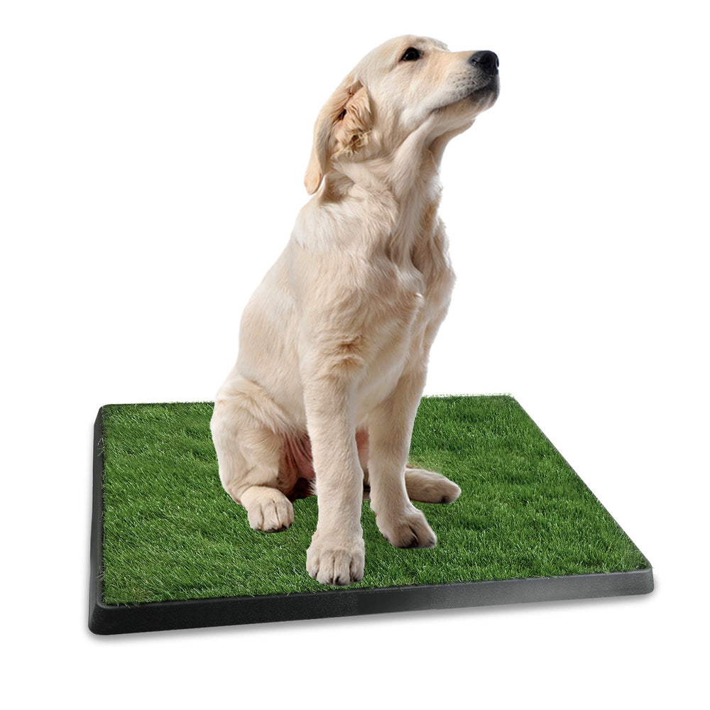 Dog toilet training grass mat