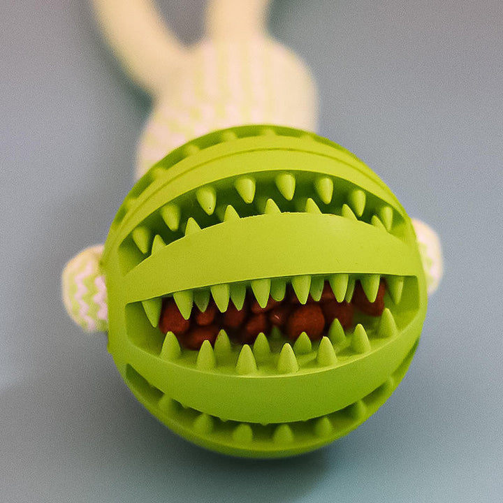 Dog tooth cleaning ball for puppies