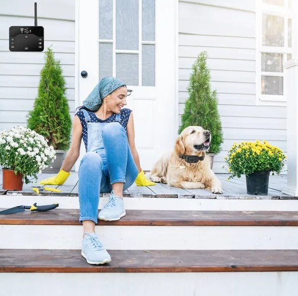 Dog training collar with wireless fence