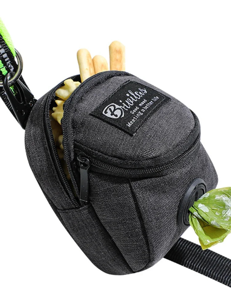 Dog training pouch with pockets