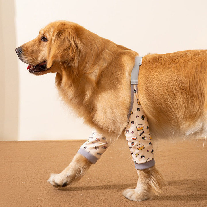 Dog wearing patterned leg wraps