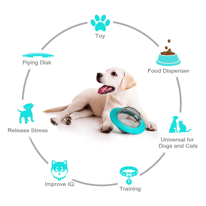 Dog with a toy and various benefits listed
