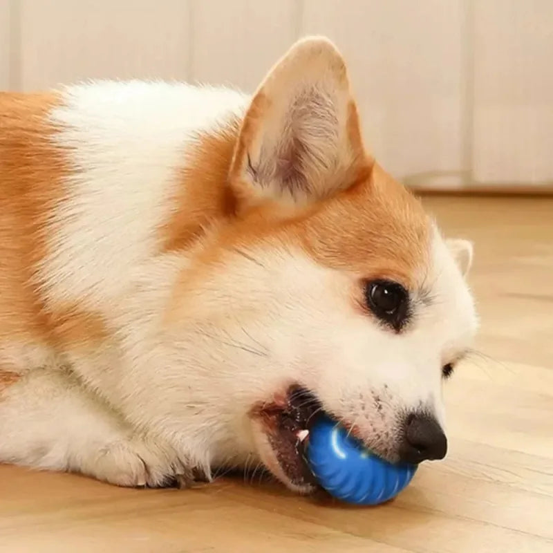 Dogs Chew Toy Ball