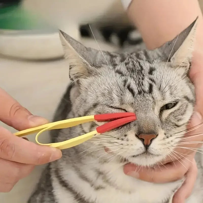 Double-Sided Pet Eye Brush