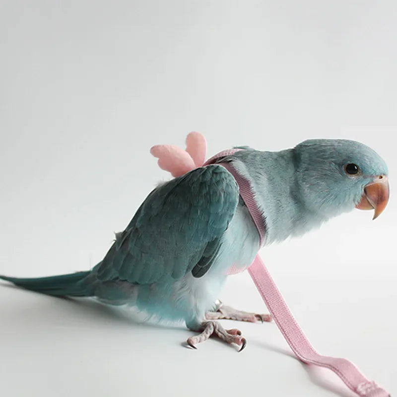 Durable Anti-Bite Bird Leash