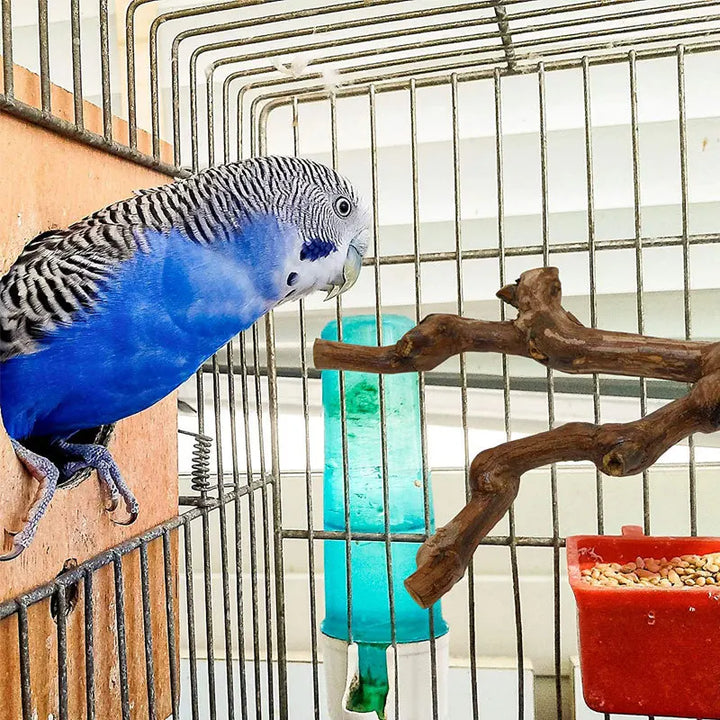 Durable Bird Cage Accessory