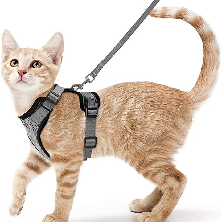 Durable Cat Leash & Harness