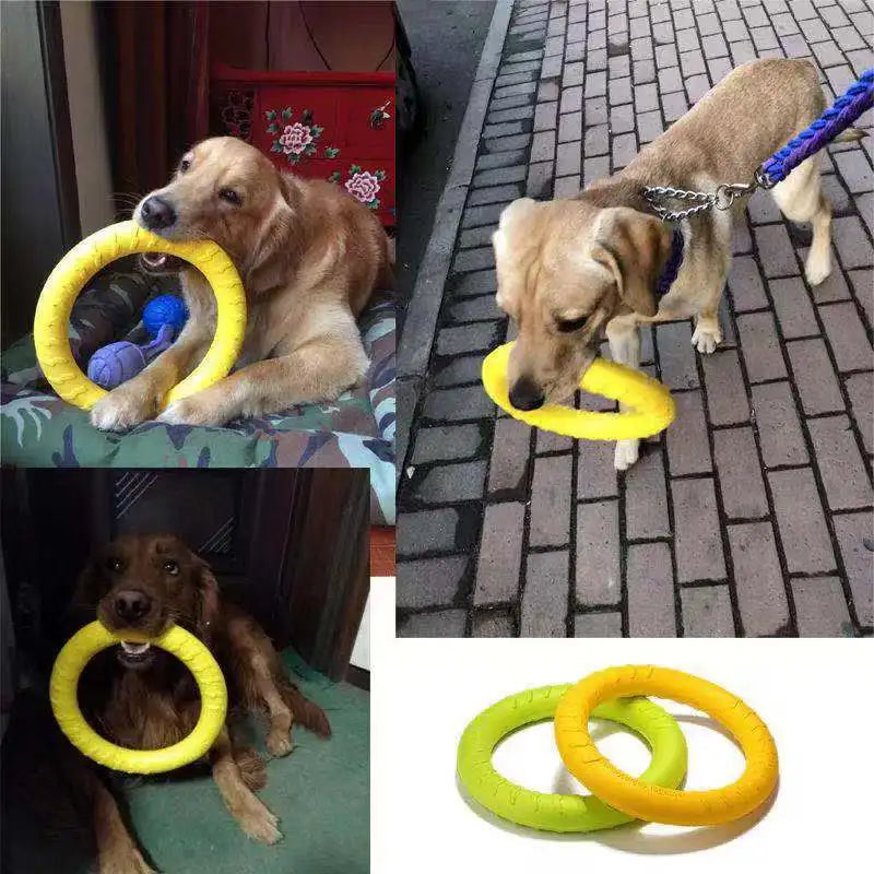 Durable Dog Training Supplies