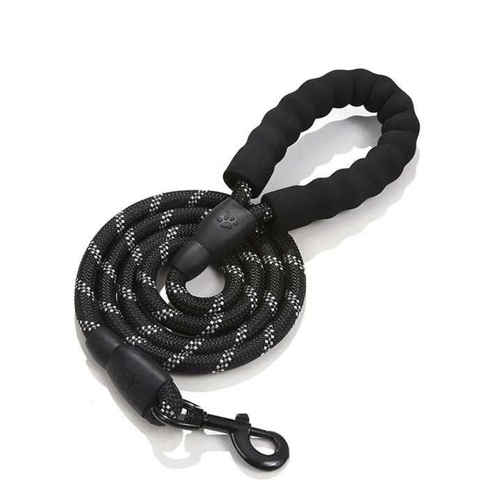 Durable Nylon Dog Leash with Reflective Design