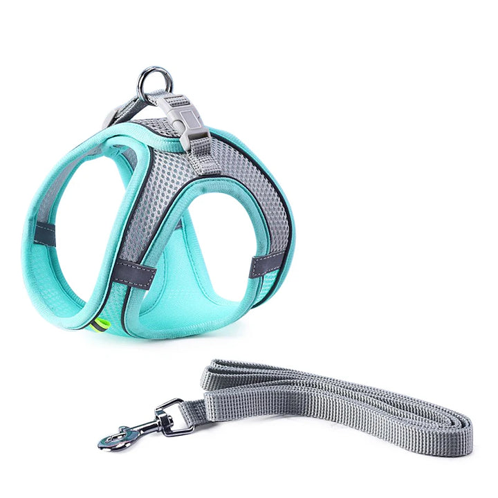 Durable Walking Leash Set