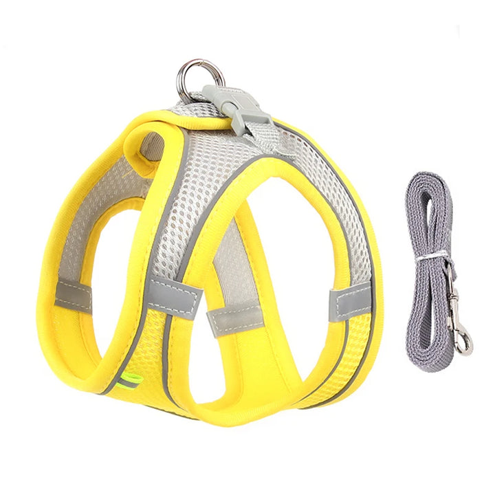 Durable Walking Leash Set For Pets