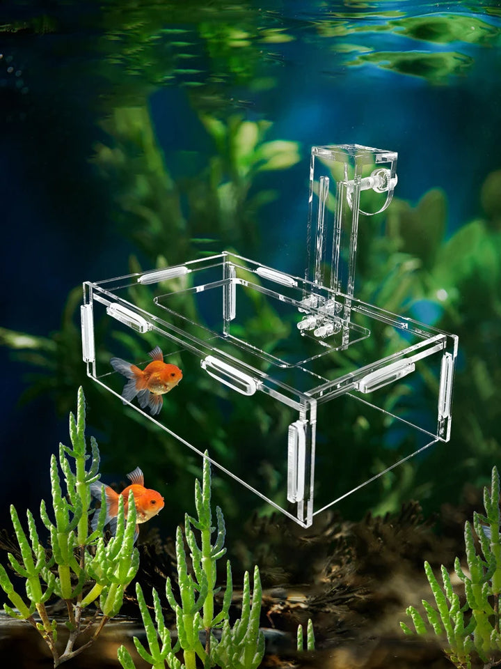 Durable acrylic fish feeder for tanks