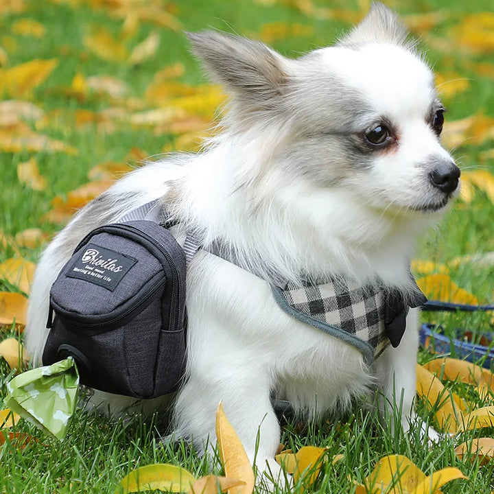 Durable dog training pouch