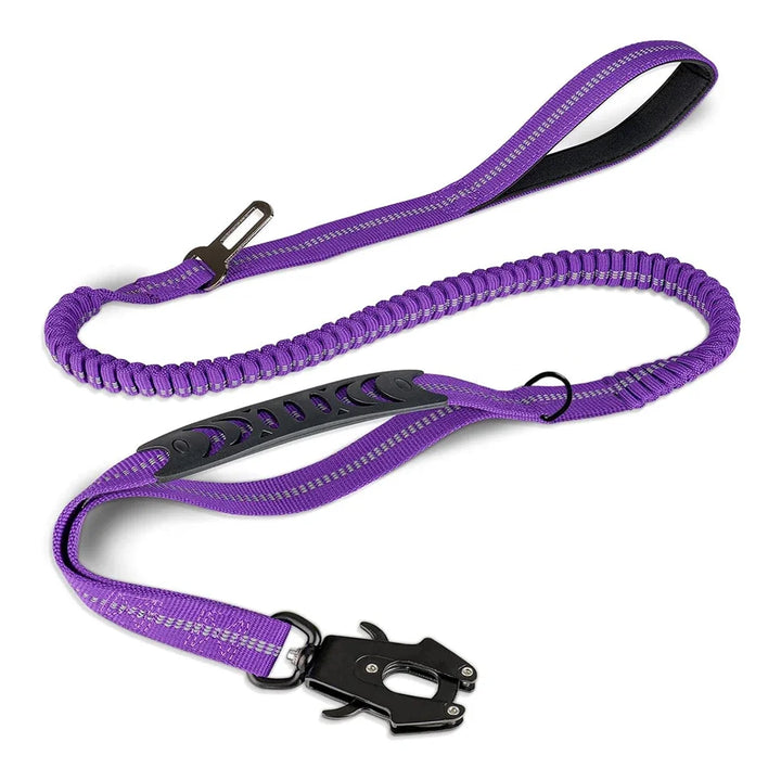 Durable leash with no-pull feature