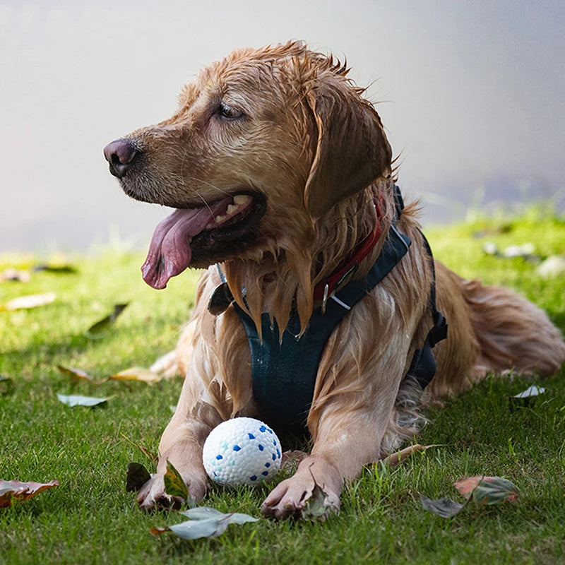 E-TPU Interactive Puppy Ball Toy