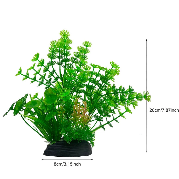 Easy Maintenance Aquarium Plant