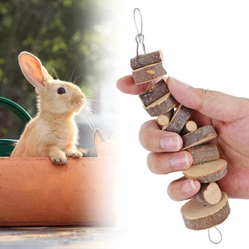 Eco-friendly small pet toy