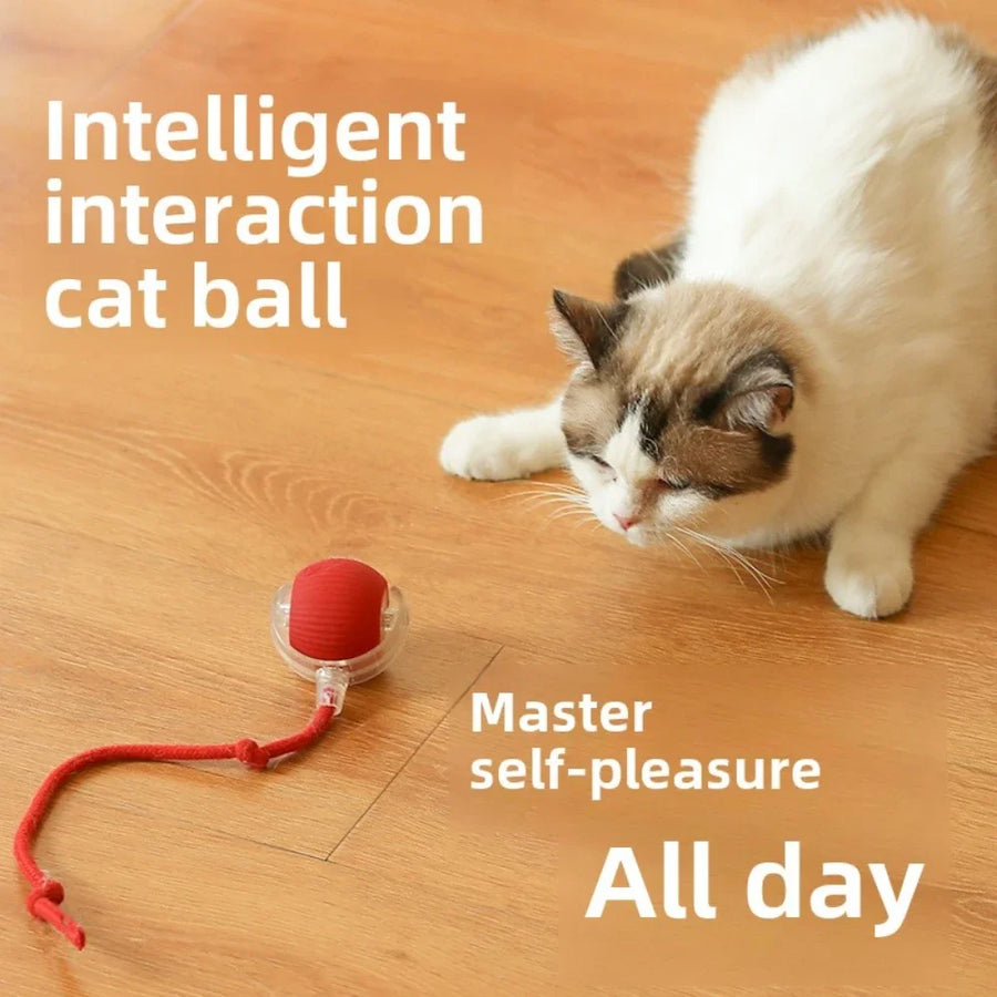 Electric Cat Ball Toy