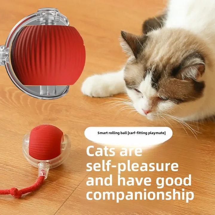 Electric Cat Ball Toy with Fake Tail