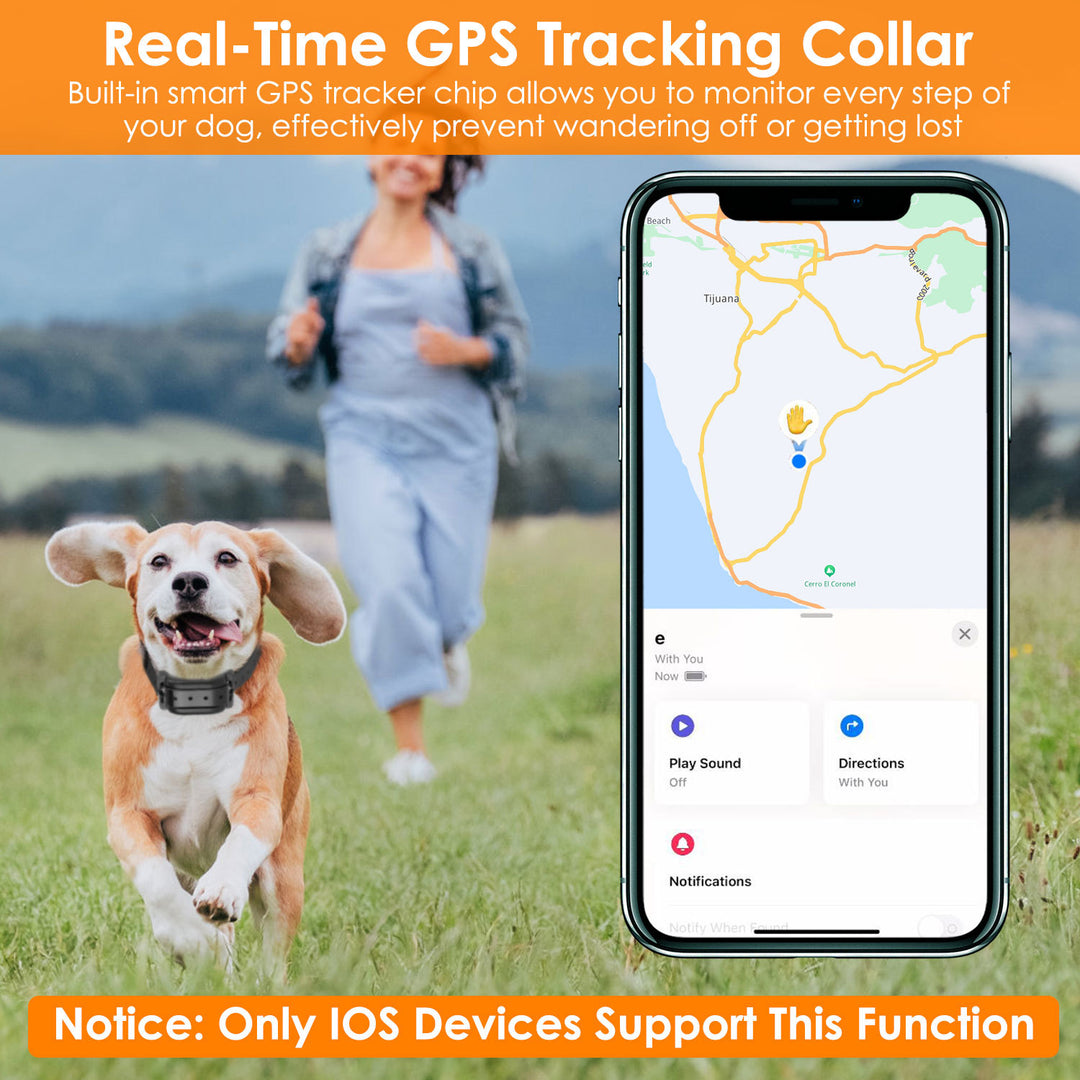 Electric dog fence for small dogs