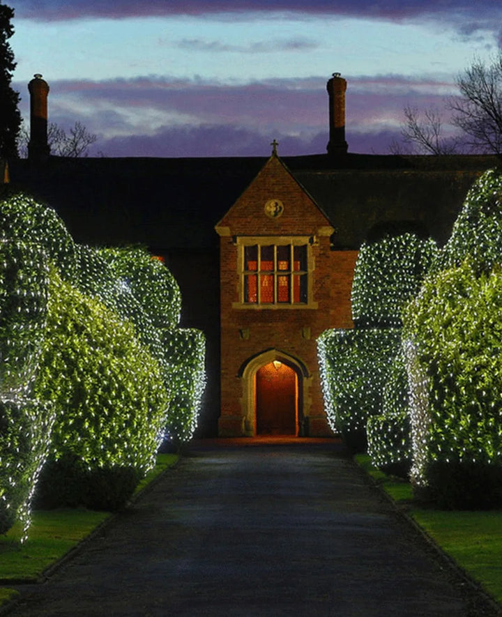 Elegant Mesh LED Lights for Garden Parties and Weddings