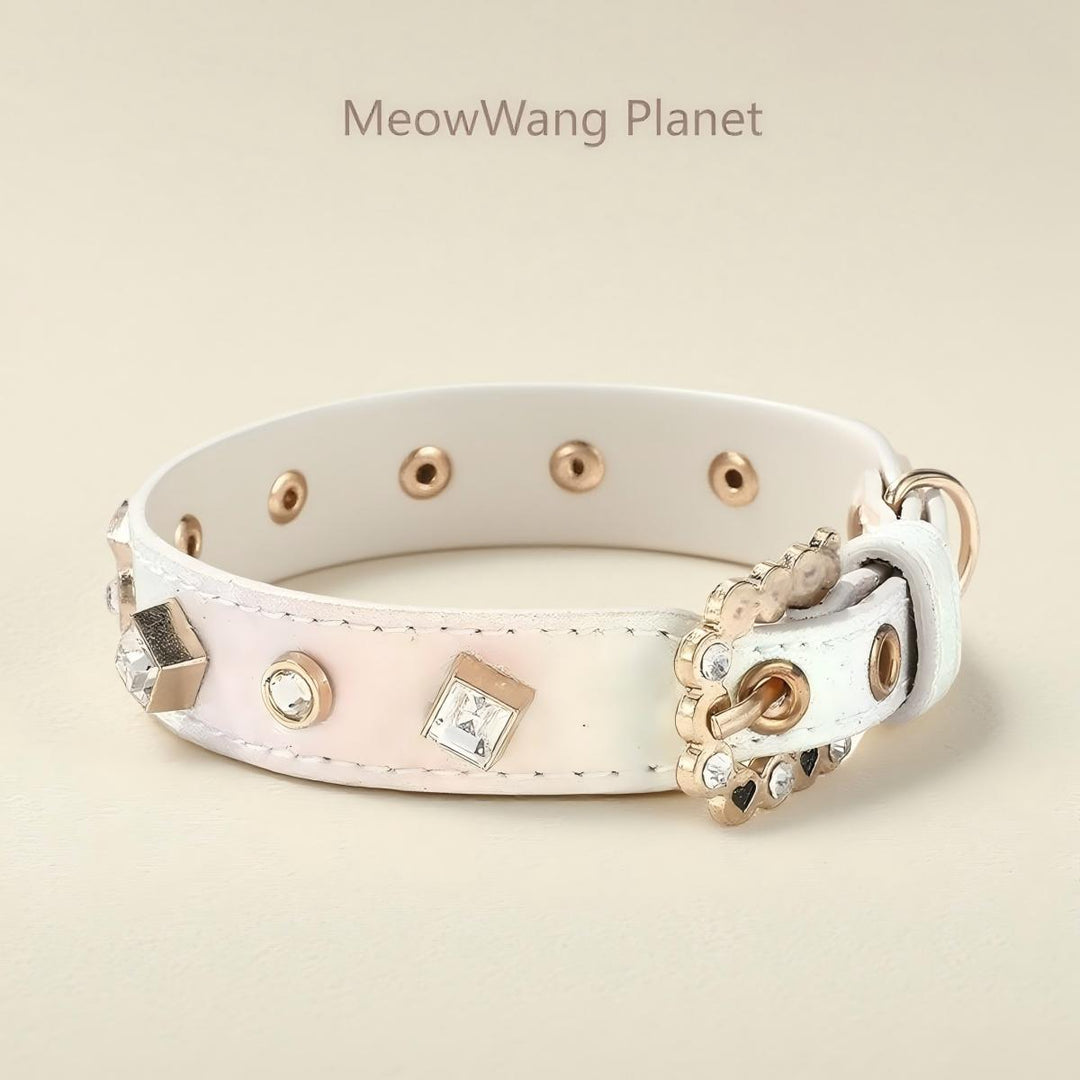 Elegant pet collar with leash