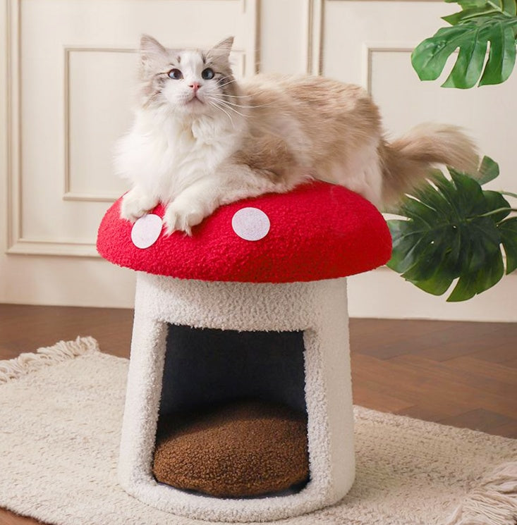 Extra large red mushroom cat bed