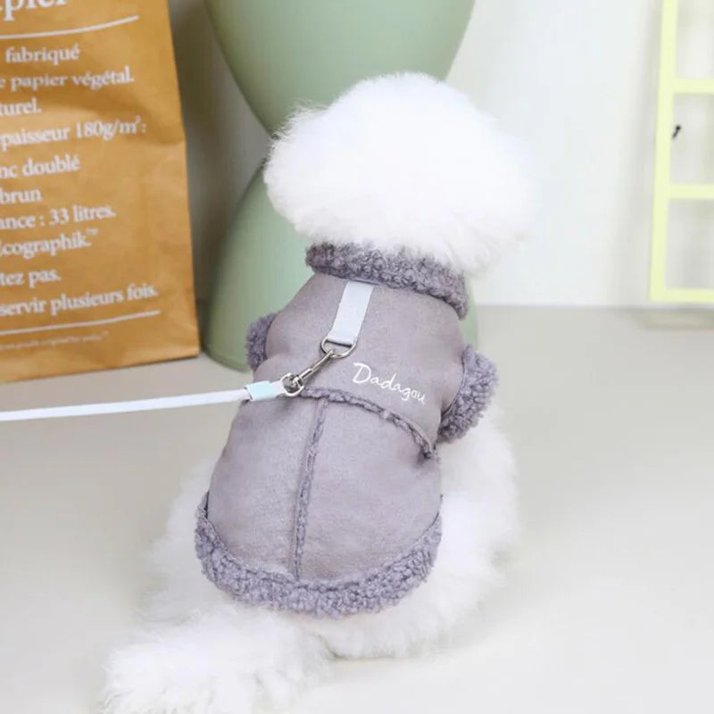 Fashionable Dog Winter Apparel