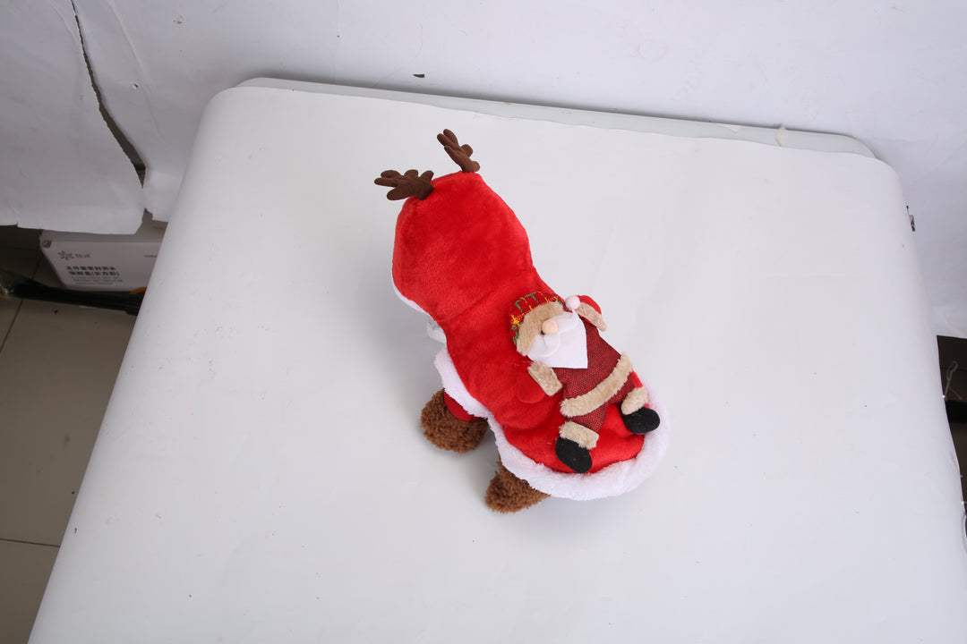 Festive pet costume with Santa hat