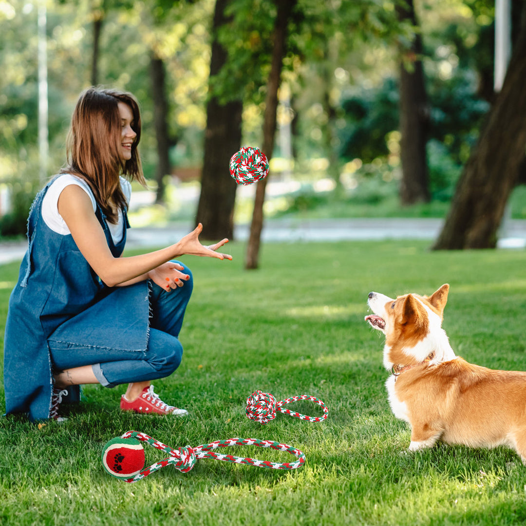 Festive rope toys for puppies