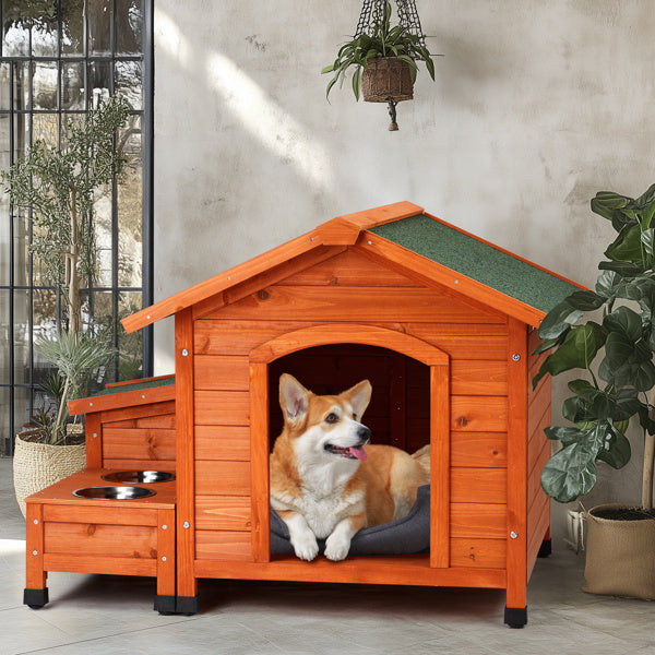 Fir wood cat and dog house