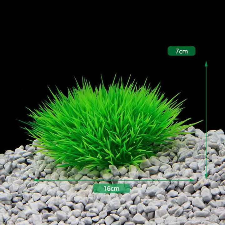 Fish Tank Grass