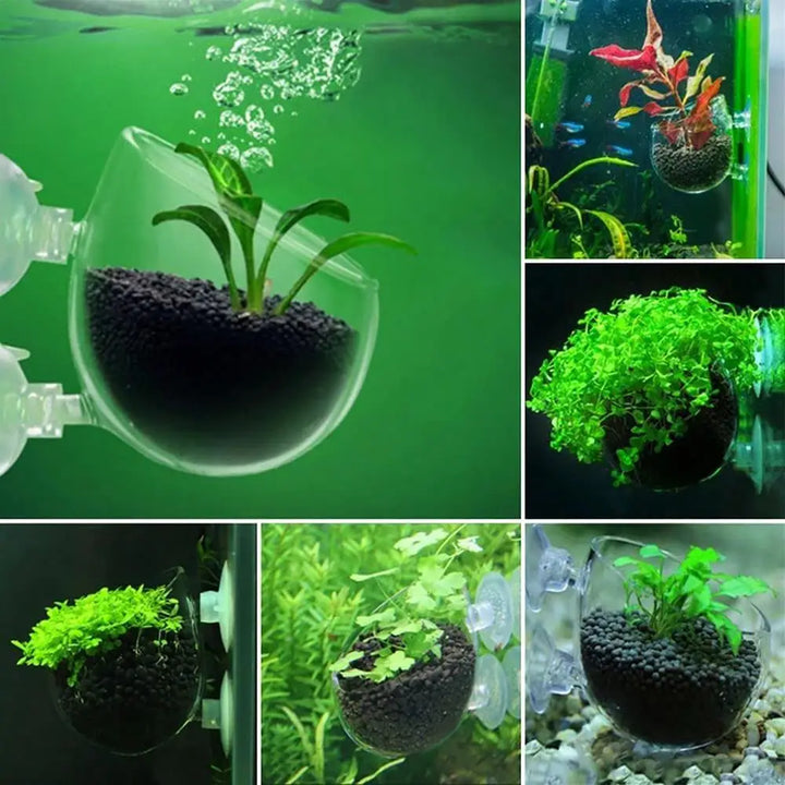 Fish Tank Planting Cup with Suction