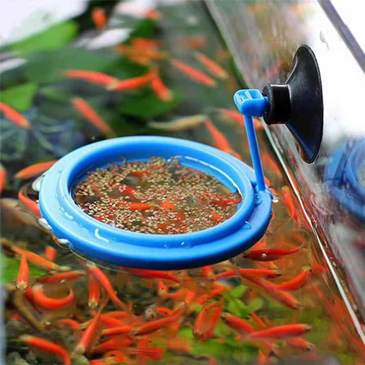 Fish food feeder station for aquariums