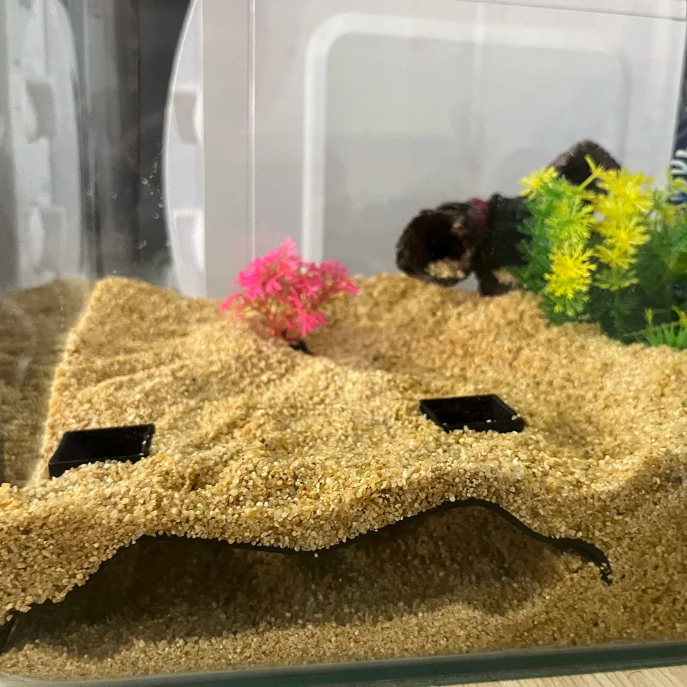 Fish tank hiding cave for pets
