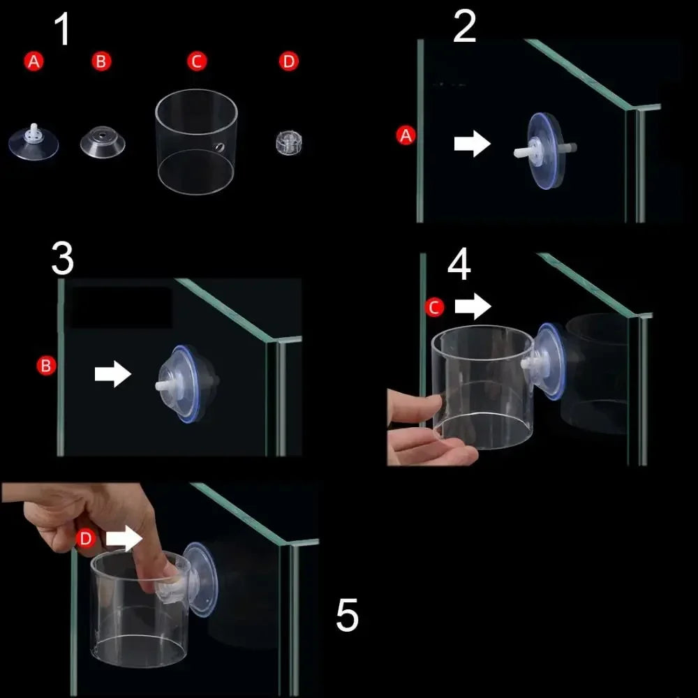 Fixed-point fish food feeder ring