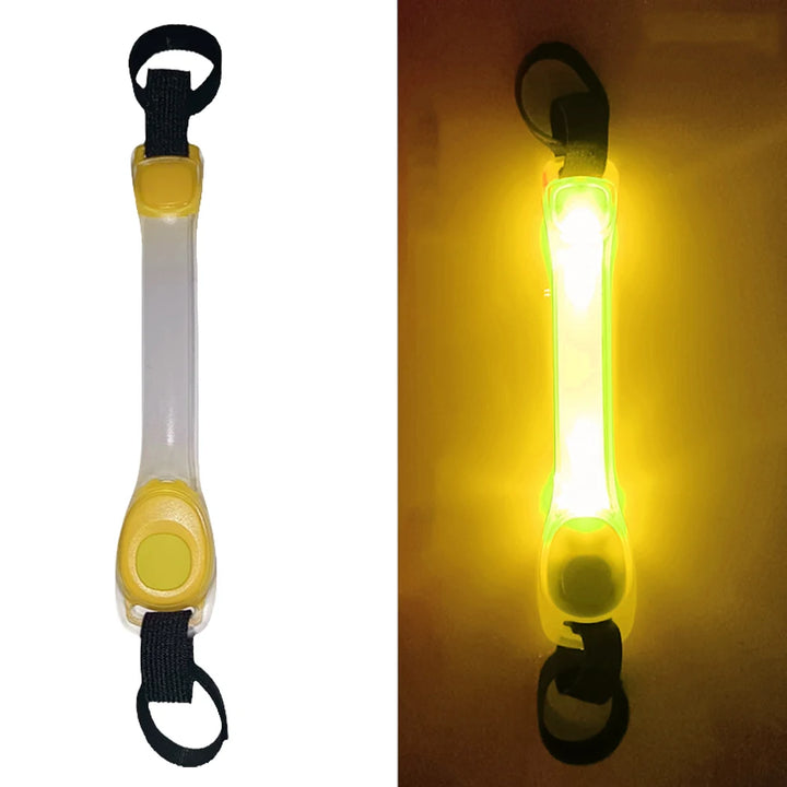 Flashing Pendant Light for Dogs