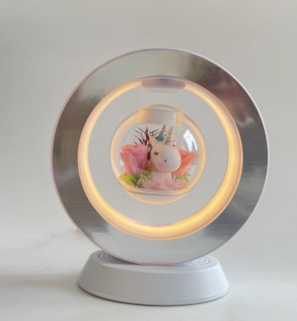 Floating LED Heart Lamp