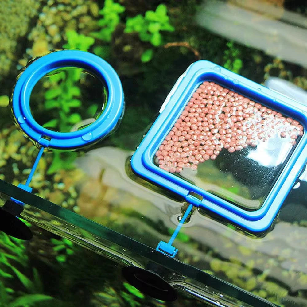 Floating food tray for fish tanks