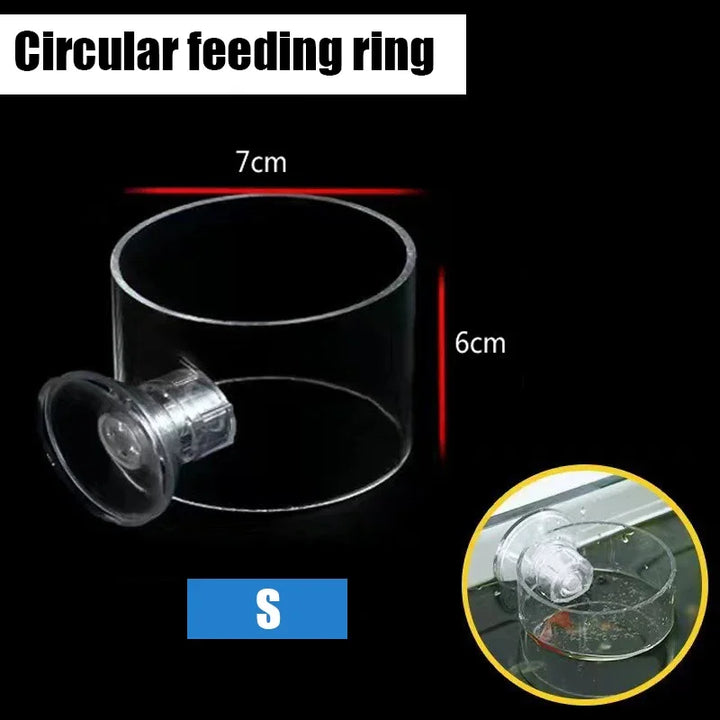 Floating ring for precise aquarium feeding