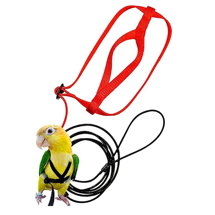 Flying Rope Leash for Parrots