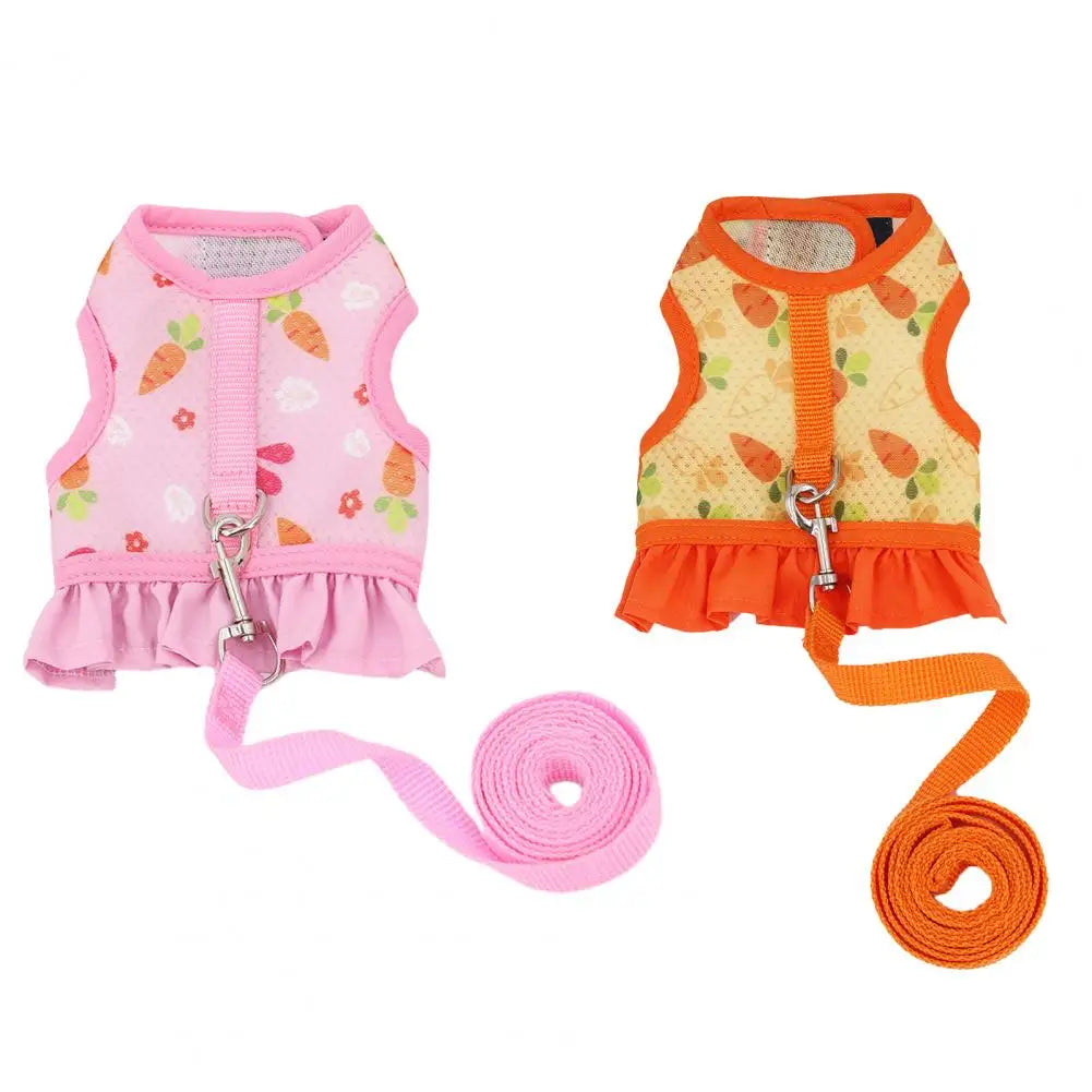 Fun Pattern Bunny Leash

