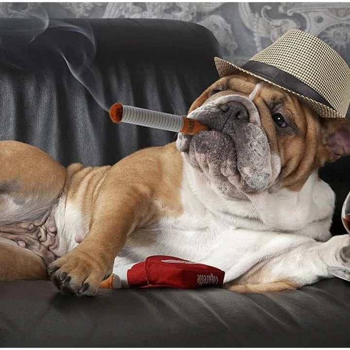 Fun Squeaking Dog Toy in Cigarette Box Shape
