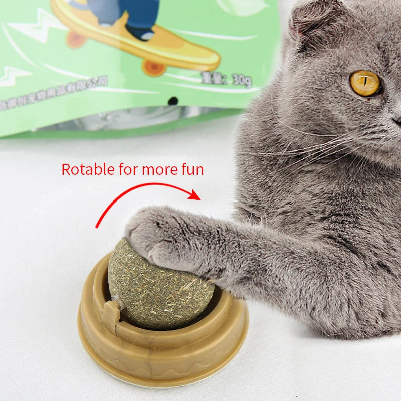 Fun Stick-on Cat Grass Ball