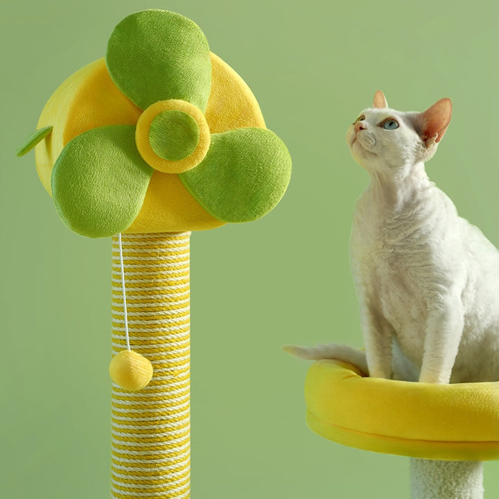 Fun cat climbing tower with platforms