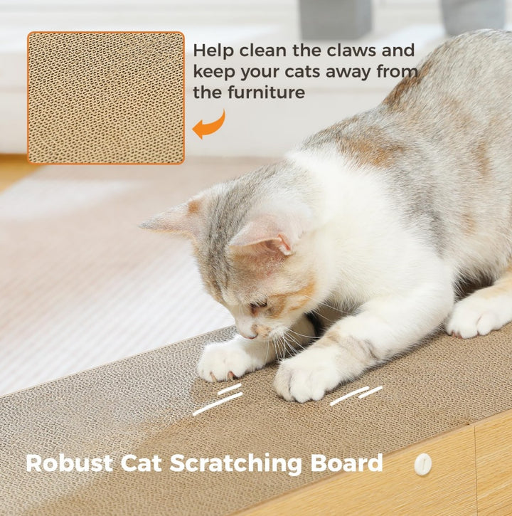 Fun pom pom cat play tunnel