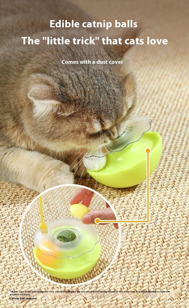 Fun rolling tumbler ball for cats