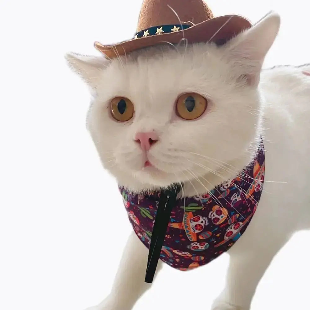 Funny Cat Cowboy Hat for Summer